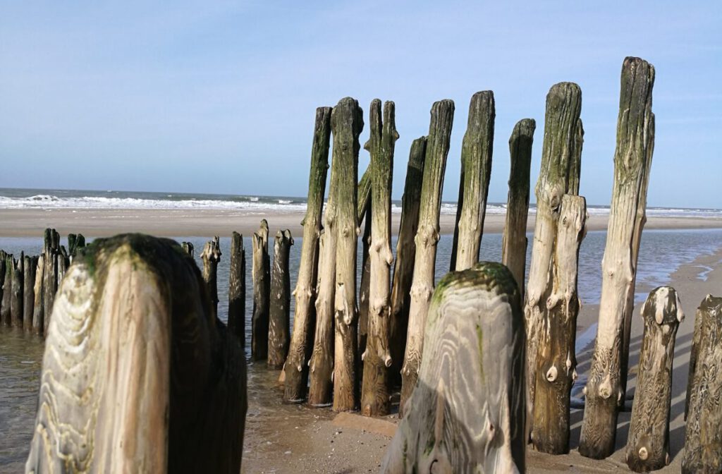 01. - 08.04.2022 Fastenwoche in Niebüll/ Nordsee