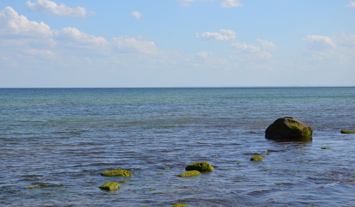 11. - 16.3.2022 Basenfasten in Dahme /Ostsee